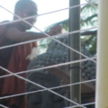 IMG 0469 resize