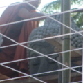 IMG 0470 resize