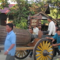 IMG 0488 resize