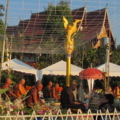 IMG 0667 resize