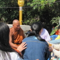 IMG 0681 resize