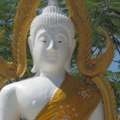 IMG 0695 resize