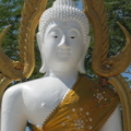 IMG 0696 resize