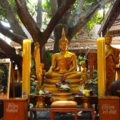 2011 01 17 ทำบุญวัดไผ่ล้อม 01