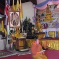 IMG 0551