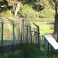 Golden Gate Park