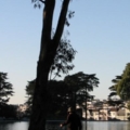 Golden Gate Park