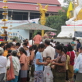 IMG 0020 resize