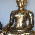 P1010043 resize