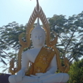 P1010061 resize