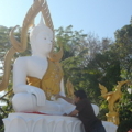 P1010065 resize