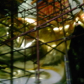 Photo 0267