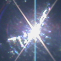 DSC00250