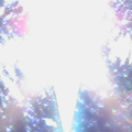 DSC00255
