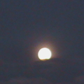 DSC00283