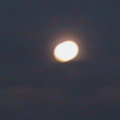 DSC00284