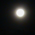 DSC00286