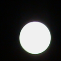 DSC00294