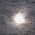 DSC00213