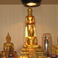 IMG 0051