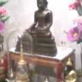 Photo 0005