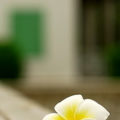 ธรรมะสว่างใจ