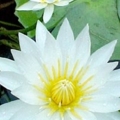 ธรรมะสว่างใจ