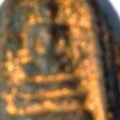 DSC 5833