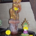 PIC 0013 (Medium)