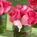 020 RoseVotiveTriobyJanePacker