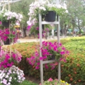 Picture จ๋า 53 009