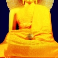 พุทธเมตตา India Bhodi Kaya