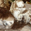 DSC01080