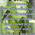 01 ท่านทั้งหลาย