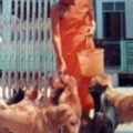 หลวงพ่อ (40)