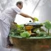 อาจารย์ไก่