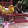 IMG00915 20110718 1143