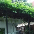 DSCF1245
