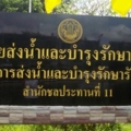 IMGP4110