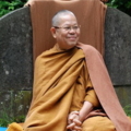 100066.jpg