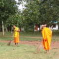 DSCF2314