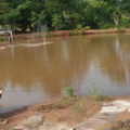 DSCN0964