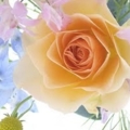 Flowers a Spring Bouquet with a Rose 1 206SV74N9B 1024x768