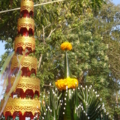DSC00513