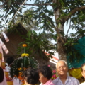 DSC00514