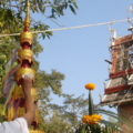 DSC00518