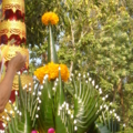 DSC00521