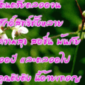 อวยพรคุณติงติง