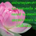 อวยพรคุณประทีปแก้ว