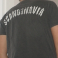 SAM 0293